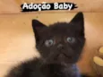 Baby
