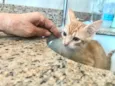 Léo bb2meses
