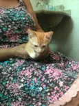 Léo bb2meses