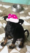 Frida