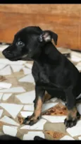 Frida