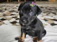 Frida