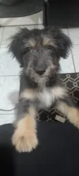 Zeus