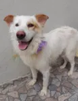 Nina