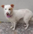Nina