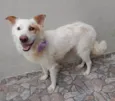 Nina