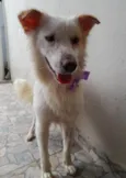 Nina