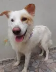 Nina