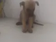 Bebê 1