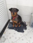 Molly