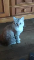 Horus