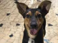 Chico