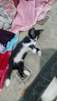 Lili