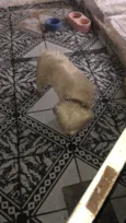 Sabrina