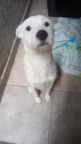 Marley