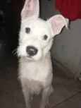 Marley