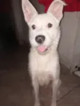 Marley