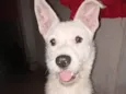 Marley
