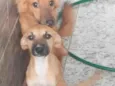 Zelda & Zara