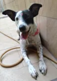Preciosa