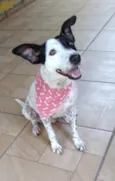 Preciosa
