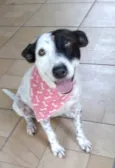 Preciosa