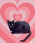 Peta 1aninho Linda