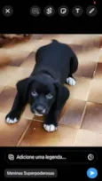 Luigi