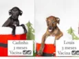 Bebês