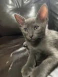 Zion