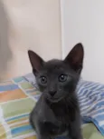 Zion