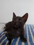 Zion