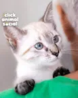 Myra