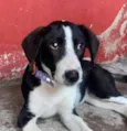 Princesa