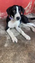 Princesa