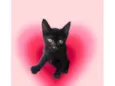 Kiwi bb2meses