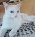 Mamãe e bebe