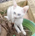 Mamãe e bebe