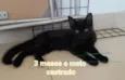 Meninos e meninas.
