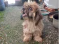 Teo
