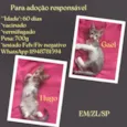 Hugo e Gael