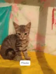 ........