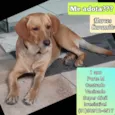 Marcos