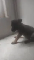 Bebê 2