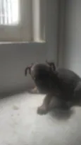Bebê 2