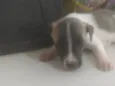 Bebê 1