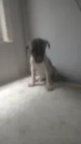 Bebê 2
