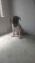 Bebê 2