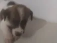 Bebê 2