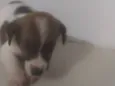 Bebê 2